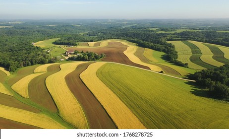 Aerial View Of American Countryside Landscape, Farmland. Drone Flying Over Contrast Rows Of Agricultural Field. Rural Scenery, Farm. Sunny Daytime, Summer Season