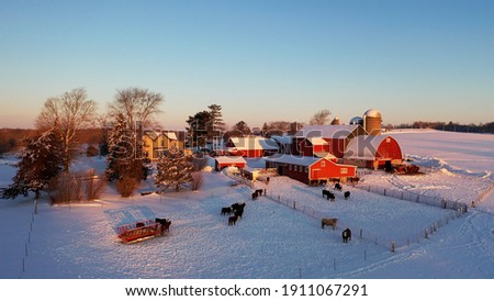 Aerial view of American countryside landscape in winter. Farm, red barn, cows. Rural scenery, farmland. Sunny morning, snow