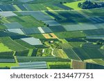 Aerial view of apple orchards with anti-hail netting in summer in Valsugana or Sugana Valley, in the plain between Lake Caldonazzo and Lake Levico, Trento Province, Trentino Alto Adige, Italy, Europe.