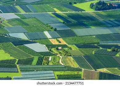 Aerial view of apple orchards with anti-hail netting in summer in Valsugana or Sugana Valley, in the plain between Lake Caldonazzo and Lake Levico, Trento Province, Trentino Alto Adige, Italy, Europe.