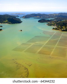 Aerial View of Aquaculture in Whangaroa Harbour, New Zealand