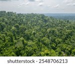 Aerial view of an area of untouched brazilian Amazon rainforest captured by drone