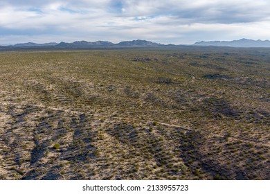 Aerial View Of The Arizona Desert With Yucca Palm Trees, Creosote And A Joshua Tree Forest.