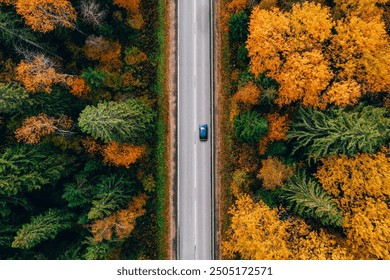 Aerial view of asphalt road with blue car and colorful fall autumn forest in rural Finland. - Powered by Shutterstock