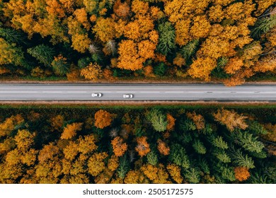 Aerial view of asphalt road with cars and colorful fall autumn forest in rural Finland. - Powered by Shutterstock