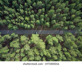 Aerial View Asphalt Road And Green Pine Forest With Car Adventure View From Above. Drone Shot