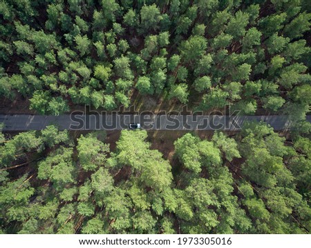 Aerial view asphalt road and green pine forest with car adventure view from above. drone shot
