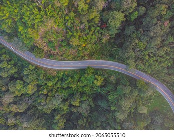Aerial view asphalt rural road through green tree forest in mountain nature transport