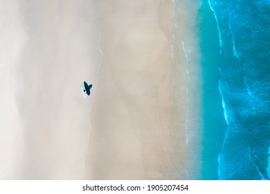 Aerial View Of Australian Beach From Above Blue Water White Sand