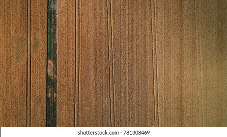 Aerial View Of Australian Wheat Fields In Farm, Background