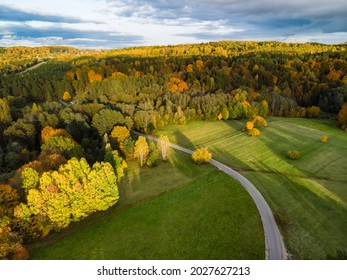 Aerial view of autumn forest with green and yellow trees. Mixed deciduous and coniferous forest. Beautiful fall scenery near Vilnius city, Lithuania