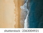 Aerial view of Baltic Sea shoreline with waves crushing sand beach during sunrise in the morning, bird