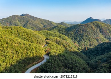 The Aerial View Of The Bamboo Forest Of Mogan Mountain In Zhejiang, China