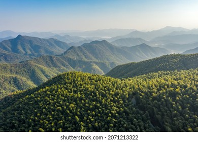 The Aerial View Of The Bamboo Forest Of Mogan Mountain In Zhejiang, China