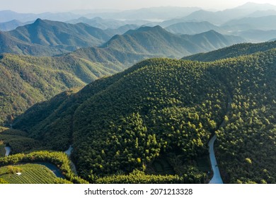 The Aerial View Of The Bamboo Forest Of Mogan Mountain In Zhejiang, China