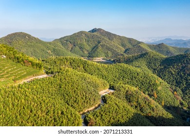 The Aerial View Of The Bamboo Forest Of Mogan Mountain In Zhejiang, China