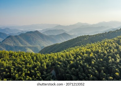 The Aerial View Of The Bamboo Forest Of Mogan Mountain In Zhejiang, China