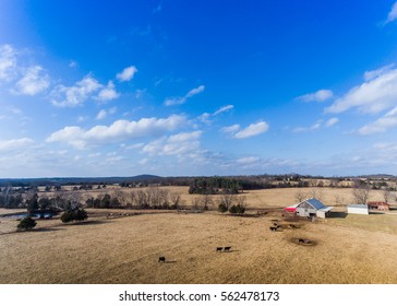 Aerial View Of Barn And Cows On Missouri Farm