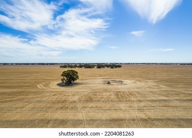 Aerial View Of Barren Farming Land