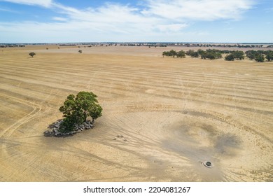 Aerial View Of Barren Farming Land