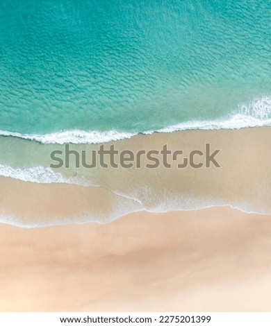 Aerial view of a beach with gentle waves and white sand in a tropical wonderland