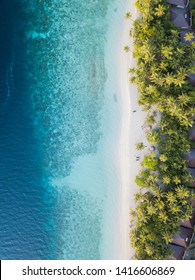 Aerial view of beach in Maldives 