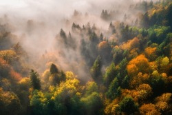 Aerial View Of Beautiful Colorful Autumn Forest In Low Clouds At Sunrise. Top View Of Orange And Green Trees In Fog At Dawn In Fall. View From Above Of Woods. Nature Background. Multicolored Leaves