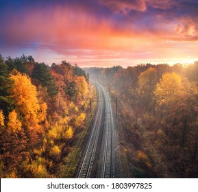 Aerial view of beautiful railroad in autumn forest in foggy sunrise. Industrial landscape with railway station, blue sky with red clouds, trees with orange leaves, fog. Top view of railroad in fall - Powered by Shutterstock