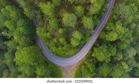 aerial view of beautiful road curve in the middle of the forest