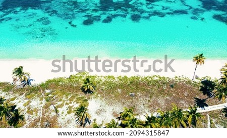 aerial view of a beautiful tropical caribbean beach in Punta Cana, Dominican Republic