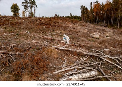 Aerial View Of A Biologist Doing Forest Protection At A Felling Area