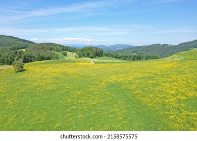 Aerial view of blooming meadow at hillside of Reigoldswil Switzerland