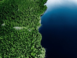 Aerial View Of Blue Lake Stone Shore And And Green Woods With Pine Trees In Summer Finland.