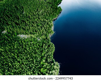 Aerial view of blue lake stone shore and and green woods with pine trees in summer Finland.