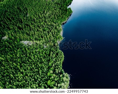 Aerial view of blue lake stone shore and and green woods with pine trees in summer Finland.