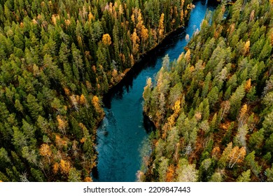 Aerial View Of Blue Winding River And Fall Forest With Autumn Colorful Trees. Beautiful Nature Landscape In Finland