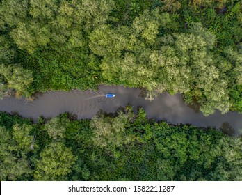 Aerial View Of Boat In The Mangrove Rio Sierpe River In Costa Rica Deep Inside The Jungle