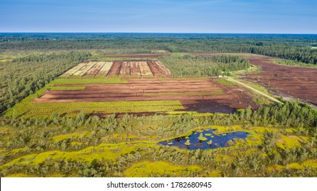 Aerial view to the bog landscape with the remaining natural elements and destroyed area by peat extraction. This  activity have severe impact to water protection, biodiversity and climate change 
