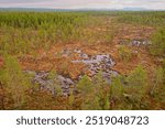 Aerial view of bog view at Ovre Pasvik National Park on a cloudy spring day, Norway.