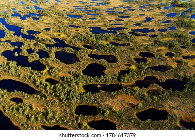 Aerial View Of Bog Ponds In Soomaa National Park In Estonia