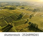 Aerial view, Bordeaux vineyard, landscape vineyard south west of france, Sainte-Croix-du-Mont