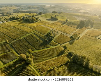 Aerial view, Bordeaux vineyard, landscape vineyard south west of france, Sainte-Croix-du-Mont - Powered by Shutterstock