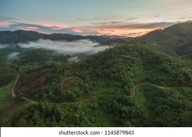 Aerial View Of Borneo Jungle