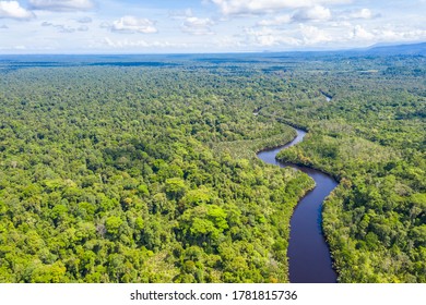 Aerial View Of The Borneo Rainforest.