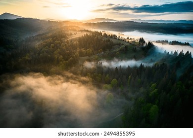 Aerial view of breathtaking sunrise over misty landscape with rolling hills and verdant fields. Soft light pierces through fog, casting long shadows and illuminating trees, creating magical scene. - Powered by Shutterstock