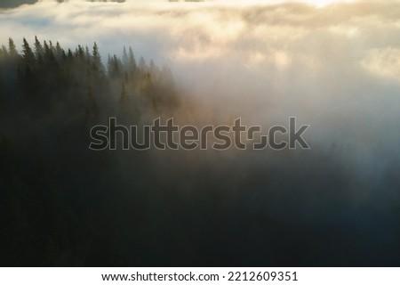 Foto Bild overfog Winter Umwelt