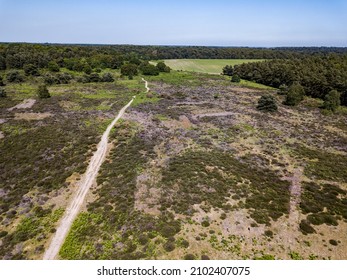 Aerial view of British heathland in the Suffolk countryside with heather starting to bloom and a footpath leading off in to the distance
