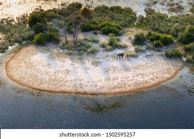 Aerial View To Bush Of Delta Okavango With Elephant.