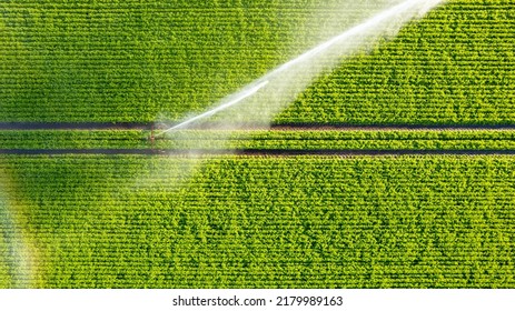 Aerial view by a drone of a farm field being irrigated by a gigantic and powerful irrigation system. High quality photo - Powered by Shutterstock