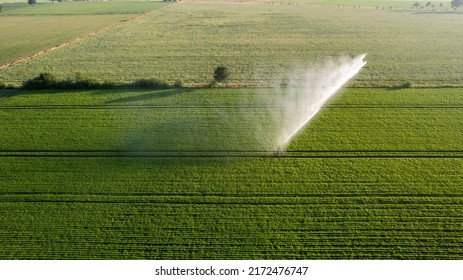 Aerial view by a drone of a potato field being irrigated by a gigantic and powerful irrigation system. High quality photo